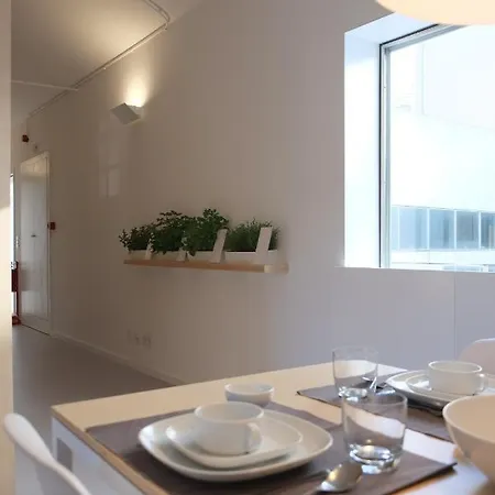 Serralves Designing ポルト