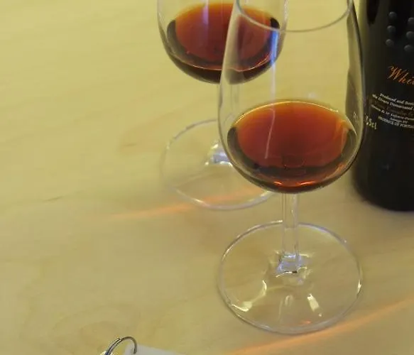 Serralves Designing Apartment *